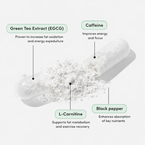 Burn Baby Burn™ — The Daily Fat Metabolic Burn Formula